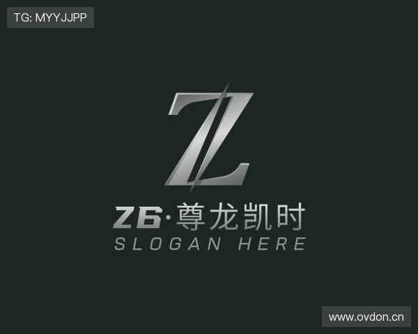发现Z6·尊龙凯时